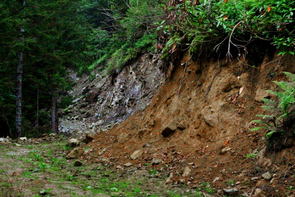 Çahçor yaylası Senoz Çayeli Rize