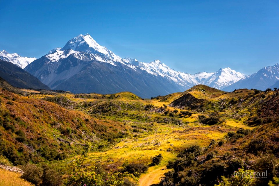 Sweet memories, Mount Cook NZ