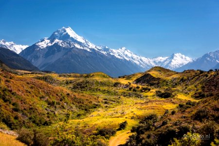 Sweet memories, Mount Cook NZ photo