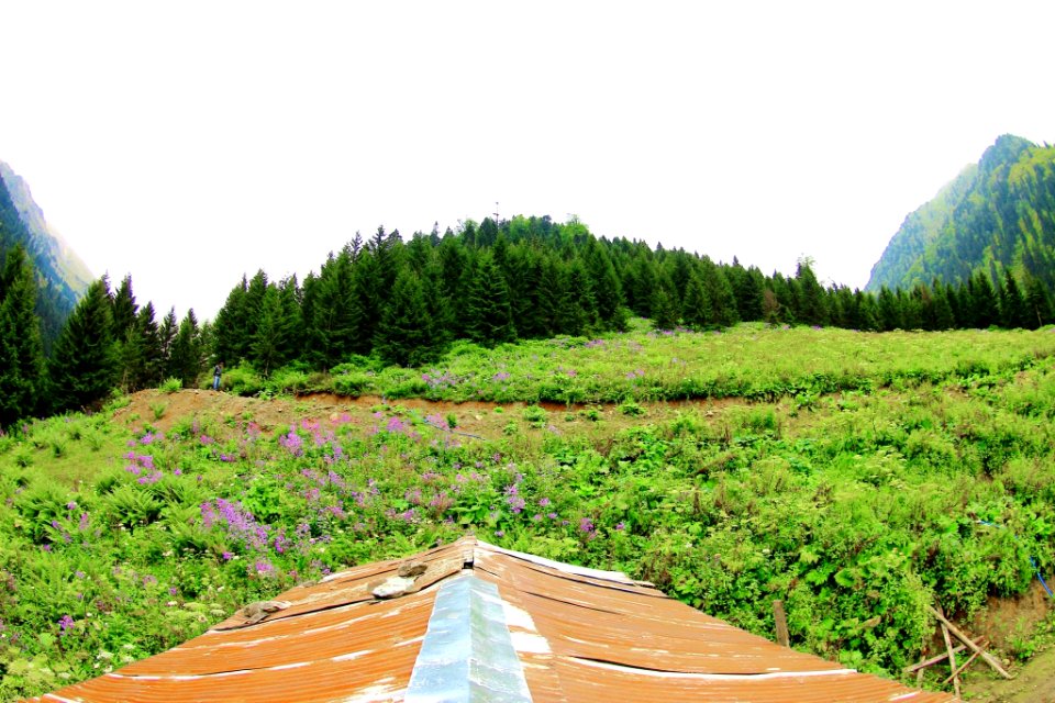 Çahçor yaylası Senoz Çayeli Rize