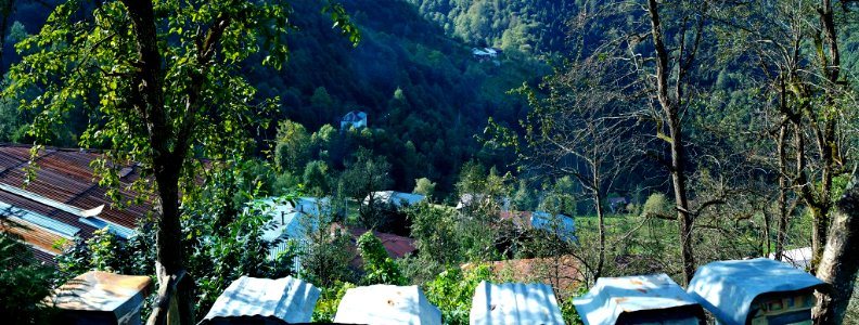 Senoz-Başköy-Çayeli-