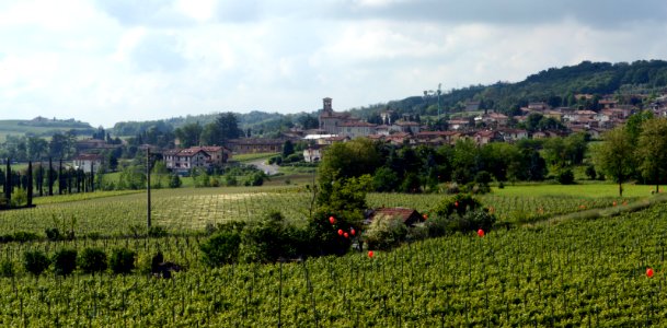 zz-Torbiato-Da-Nigoline