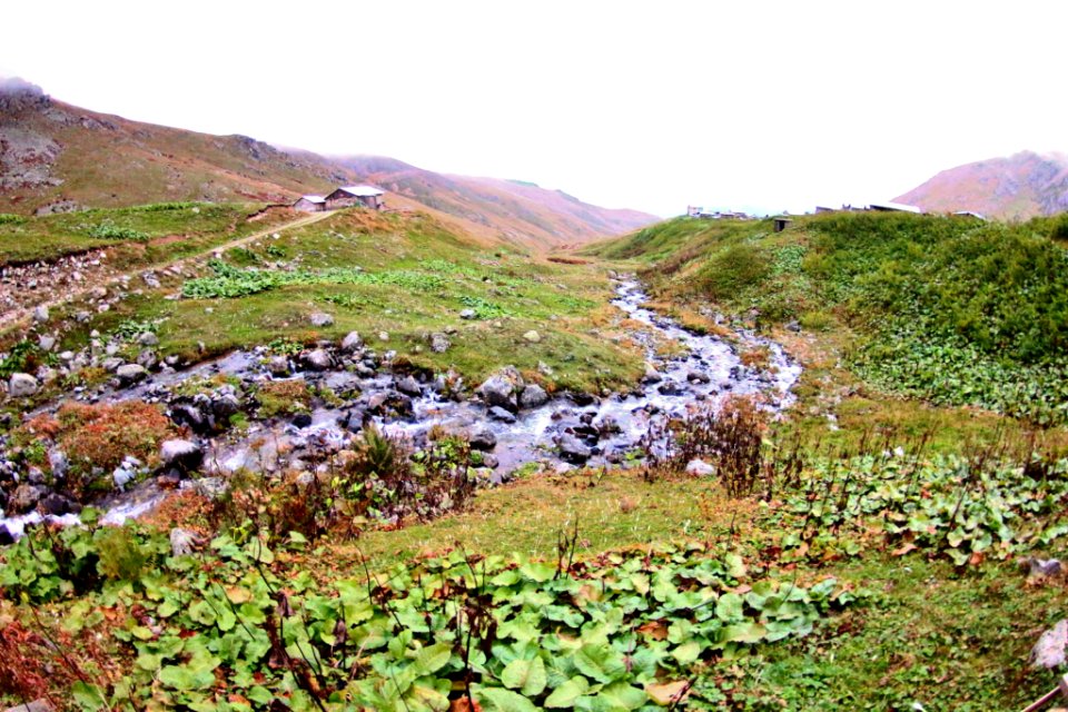 Ambarlı Yaylası Rize