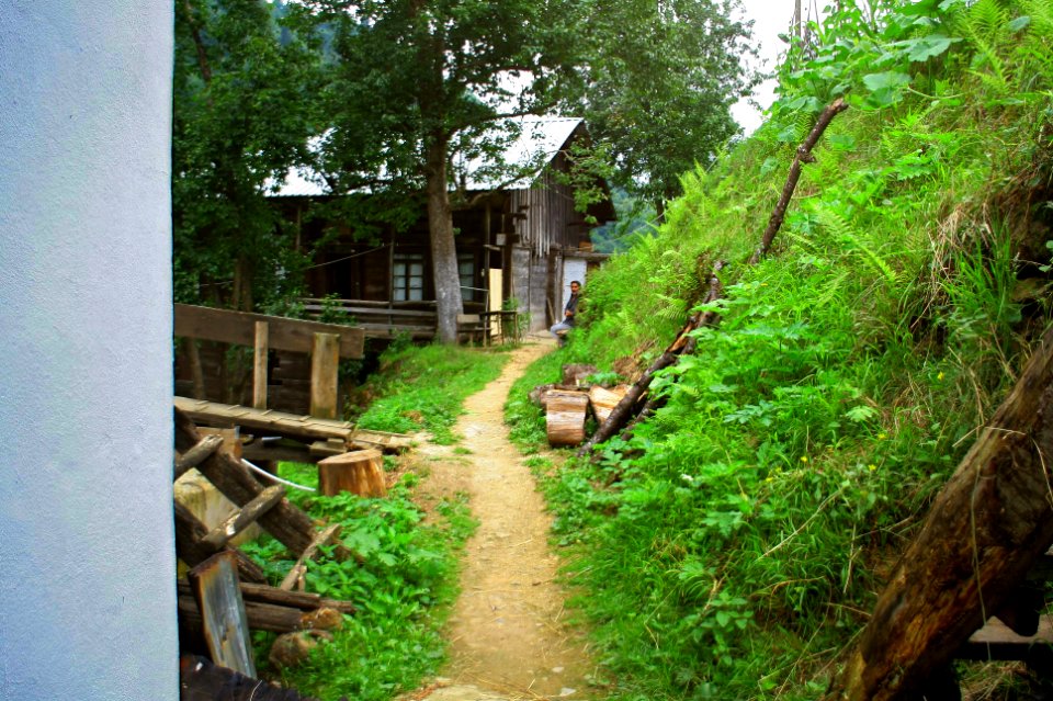 Başköy-Senoz-Çayeli-Rize