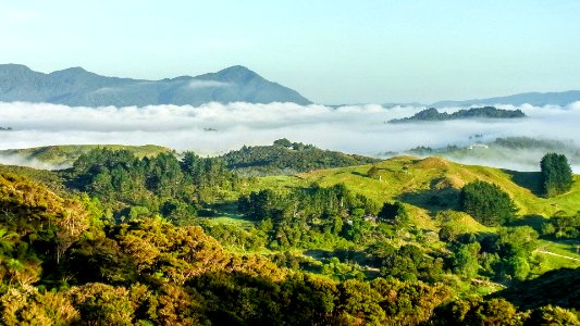 Waima Scenic Reserve