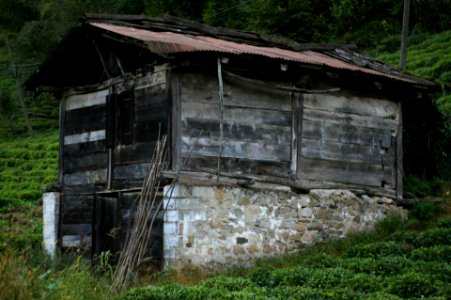 Başköy ,Senoz Çayeli Rize