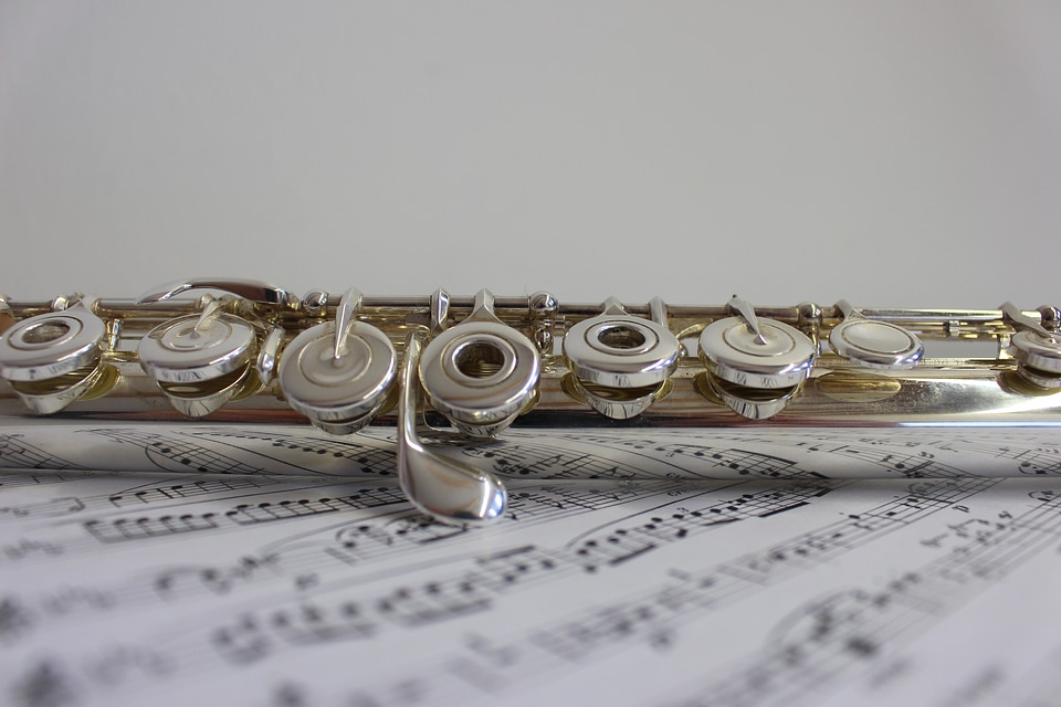 Flute instrument musical instrument