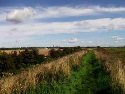 Ely Fen 3