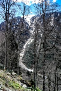 Ayder
