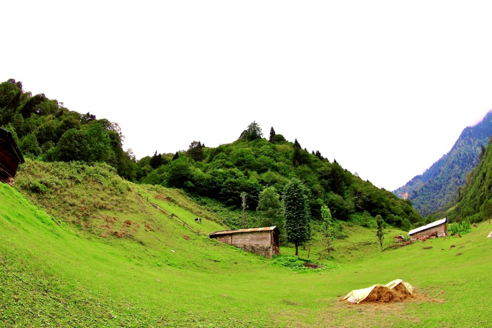 Şarinçor Yaylası Senoz Çayeli Rize