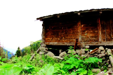 Çahçor yaylası Senoz Çayeli Rize