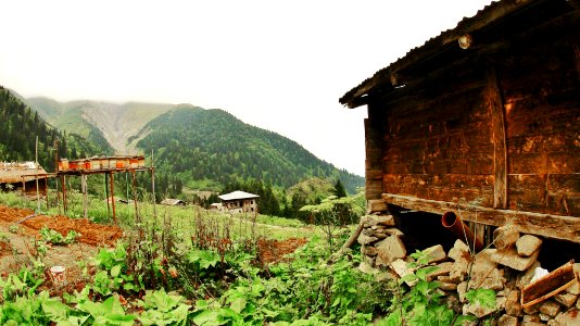 Çahçor yaylası Senoz Çayeli Rize