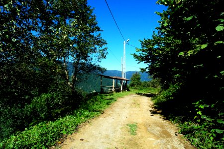 Başköy Senoz Çayeli Rize