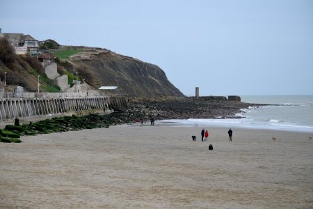 Sunny Sands on Christmas Eve