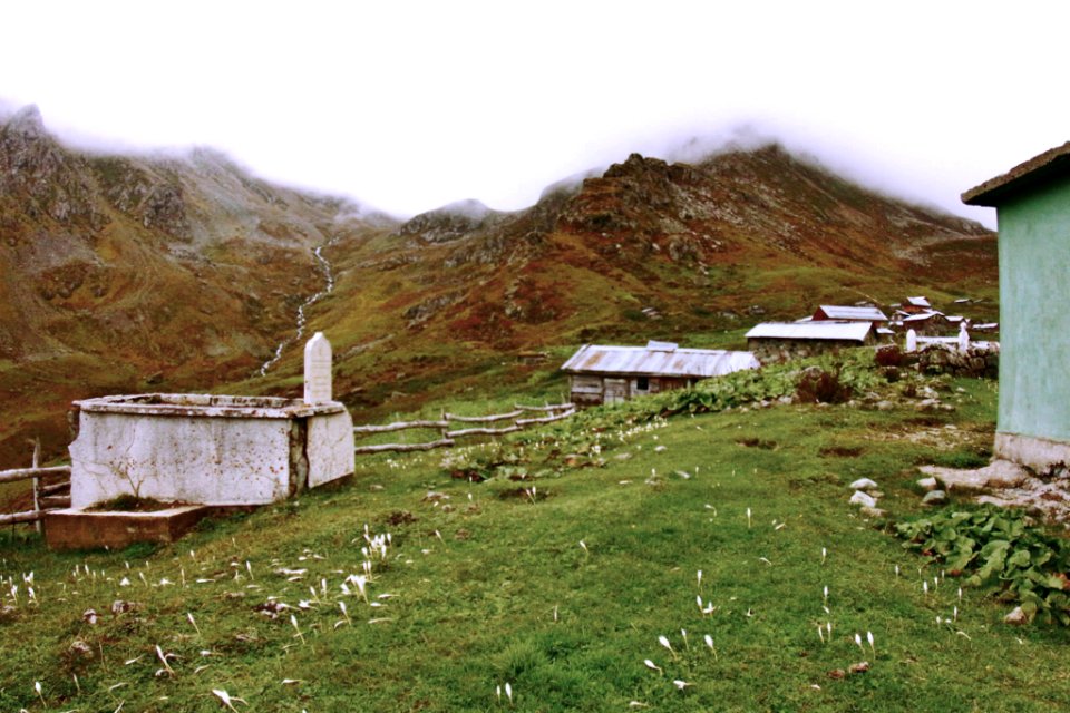 Ambarlı Yaylası Rize