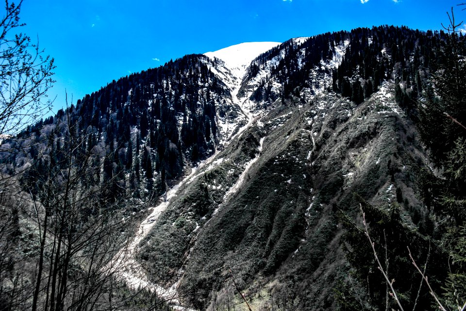 Ayder