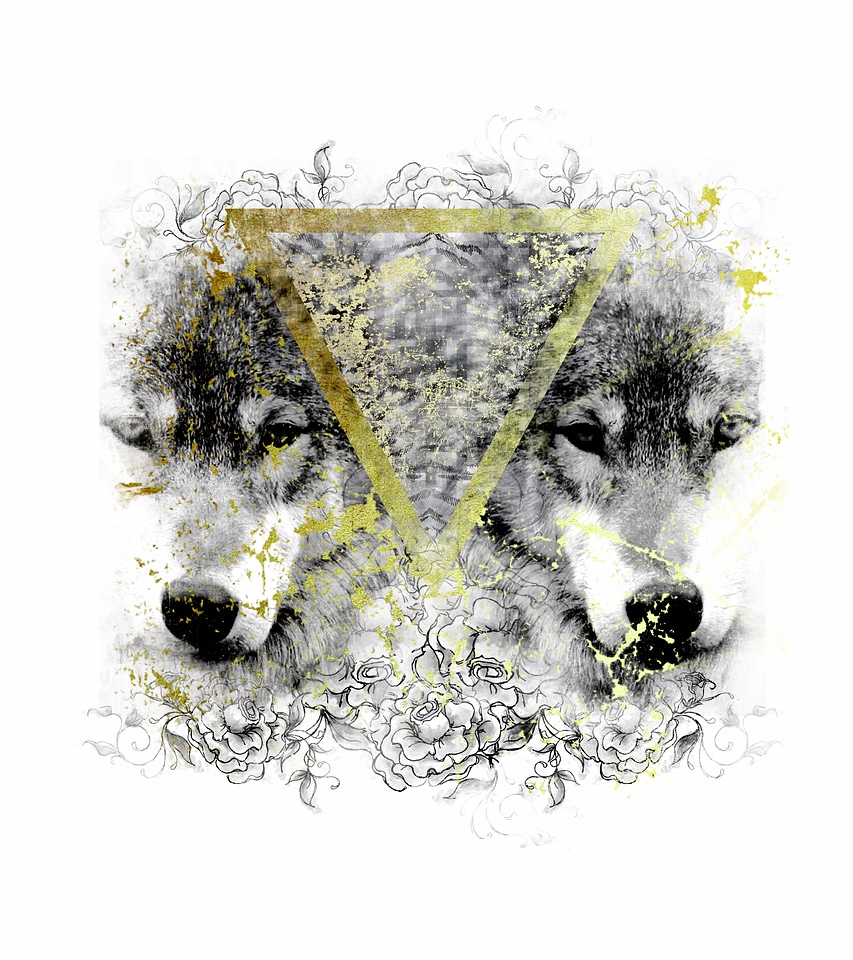 Wolves geometric wild