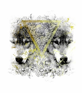 Wolves geometric wild