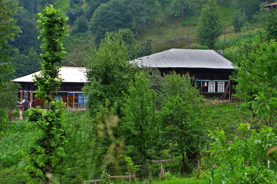 Başköy-Senoz-Çayeli-Rize