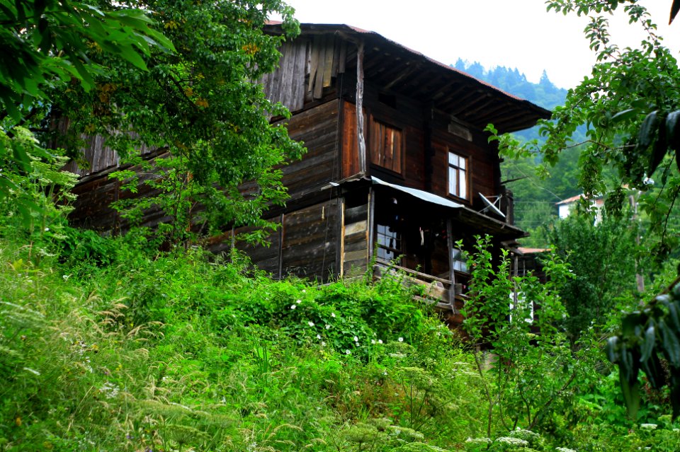 Başköy-Senoz-Çayeli-Rize