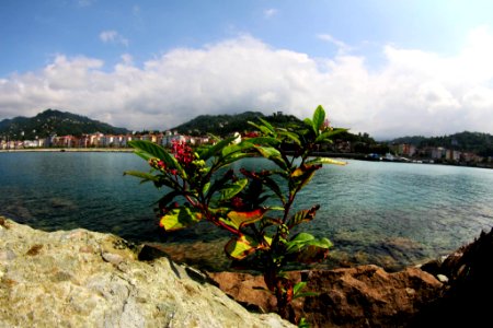 Çayeli Rize
