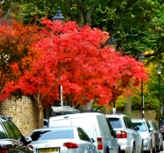 Canonbury, Islington, London