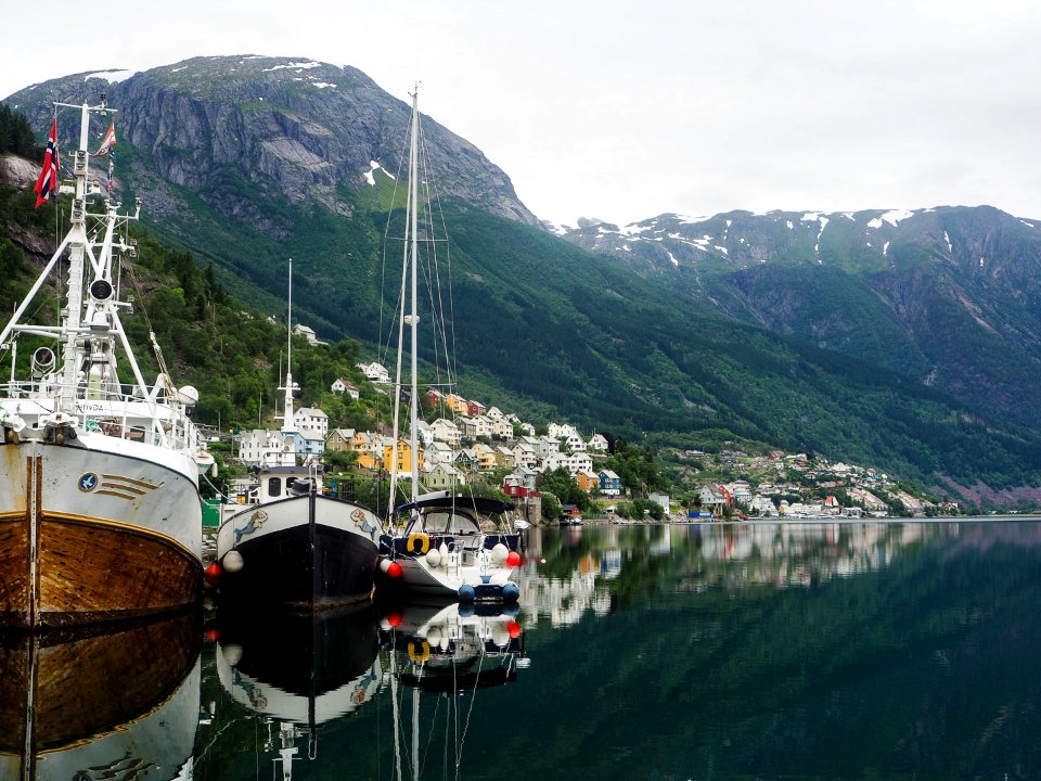 Haven