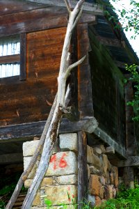 Başköy-Senoz-Çayeli-Rize