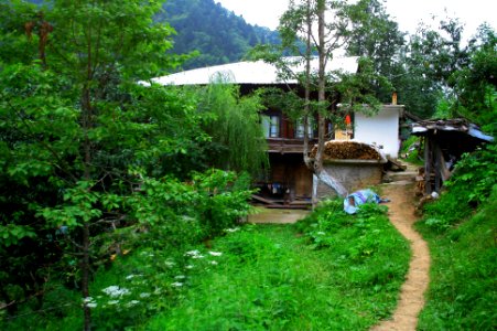Başköy-Senoz-Çayeli-Rize