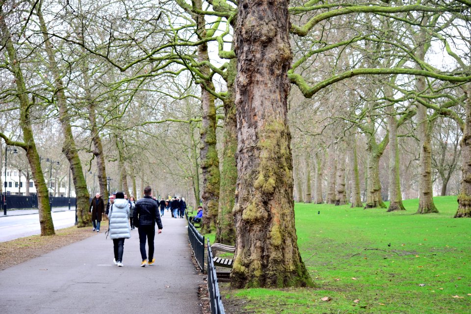 St James's Park