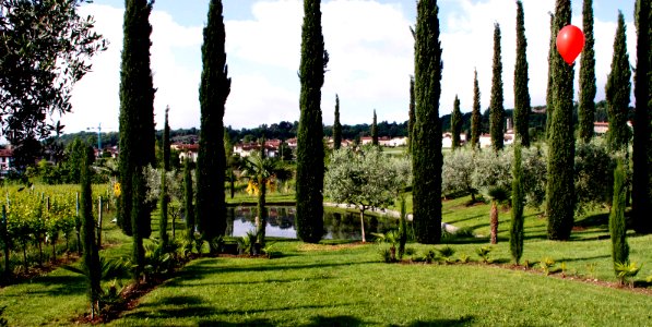 zz-Nespolo-Laghetto-Ridotta