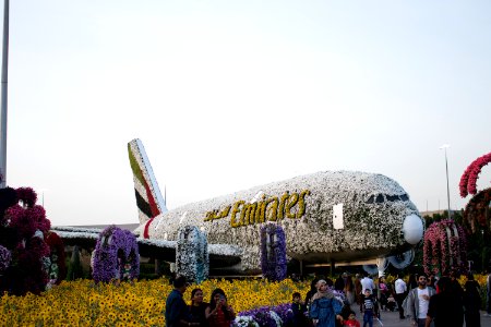 UA Emirates trip