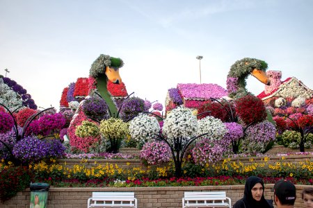 UA Emirates trip