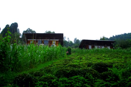 Başköy-Senoz-Çayeli-Rize
