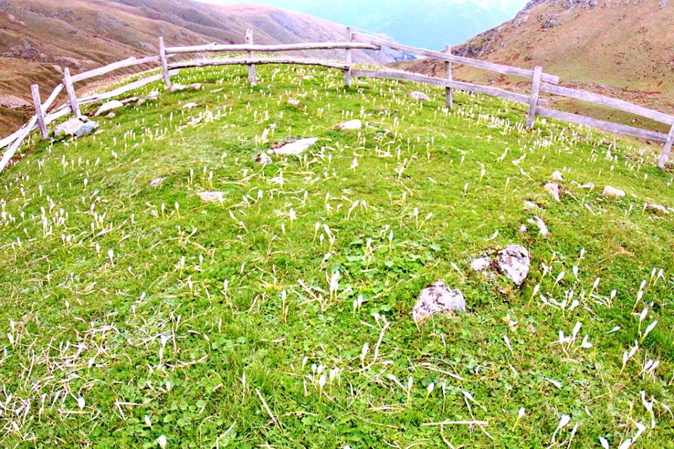 Ambarlı Yaylası Rize