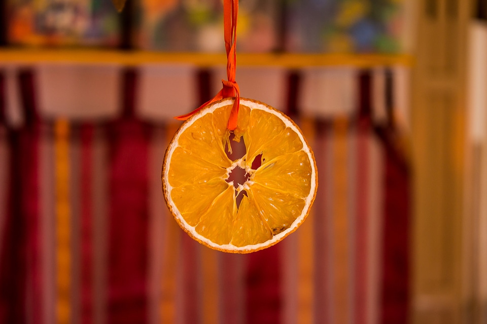 Orange taronja autumn