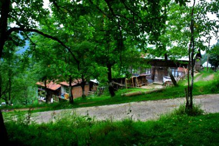 Başköy-Senoz-Çayeli-Rize