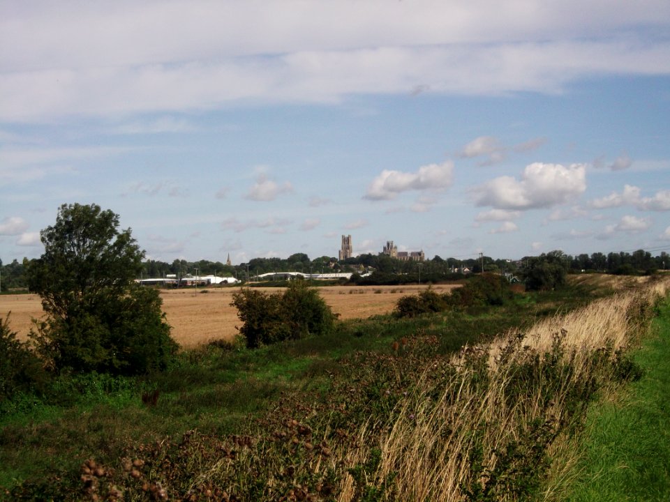 Ely Fen 4