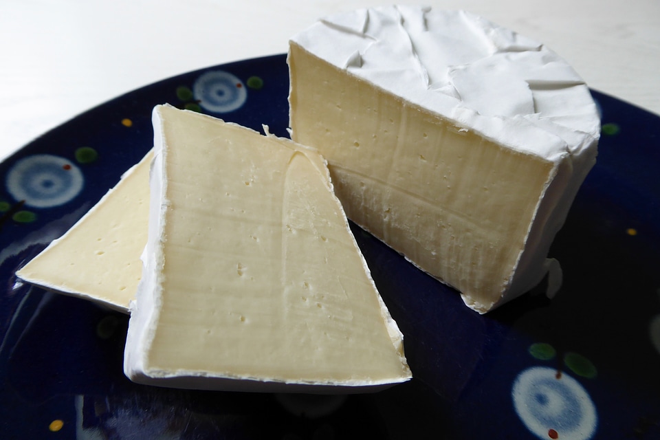 Cheese mold white