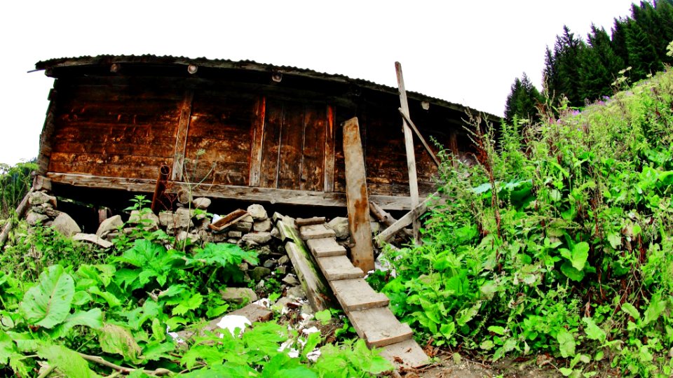 Çahçor yaylası Senoz Çayeli Rize