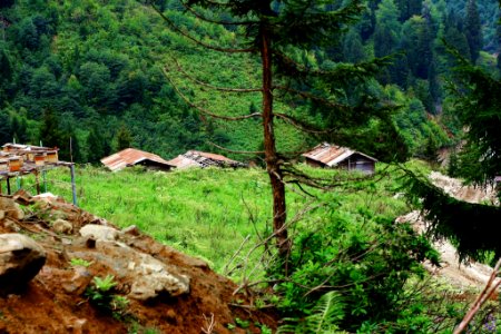 Çahçor yaylası Senoz Çayeli Rize