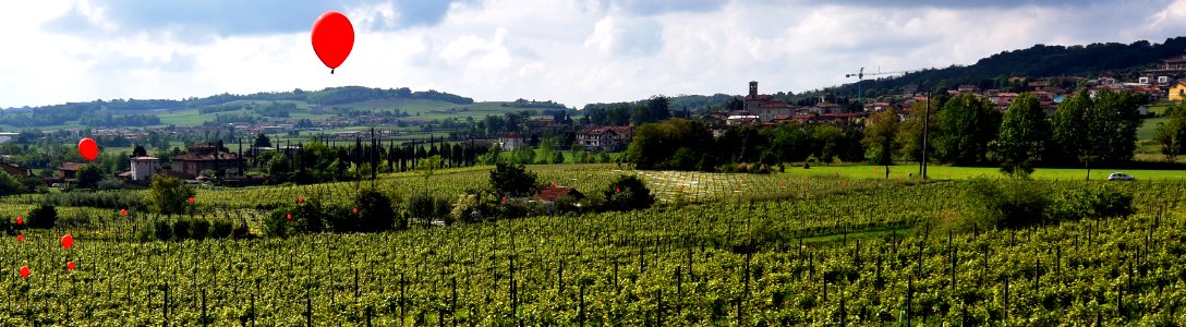 zz-Nigoline-Lorenzo-Crop