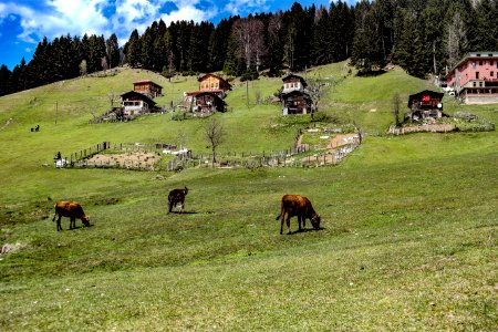 Ayder yaylası Çamlıhemşin Rize