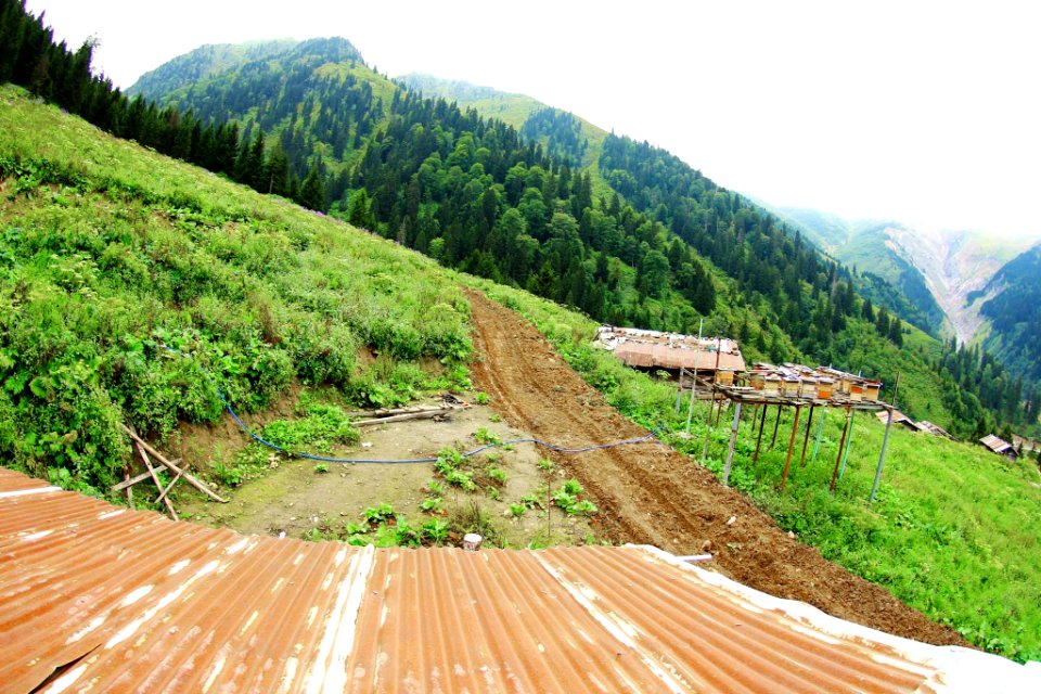 Çahçor yaylası Senoz Çayeli Rize