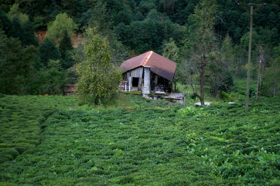 Başköy ,Senoz Çayeli Rize