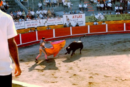 Plaza de Toros, La Macarena