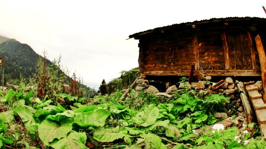Çahçor yaylası Senoz Çayeli Rize