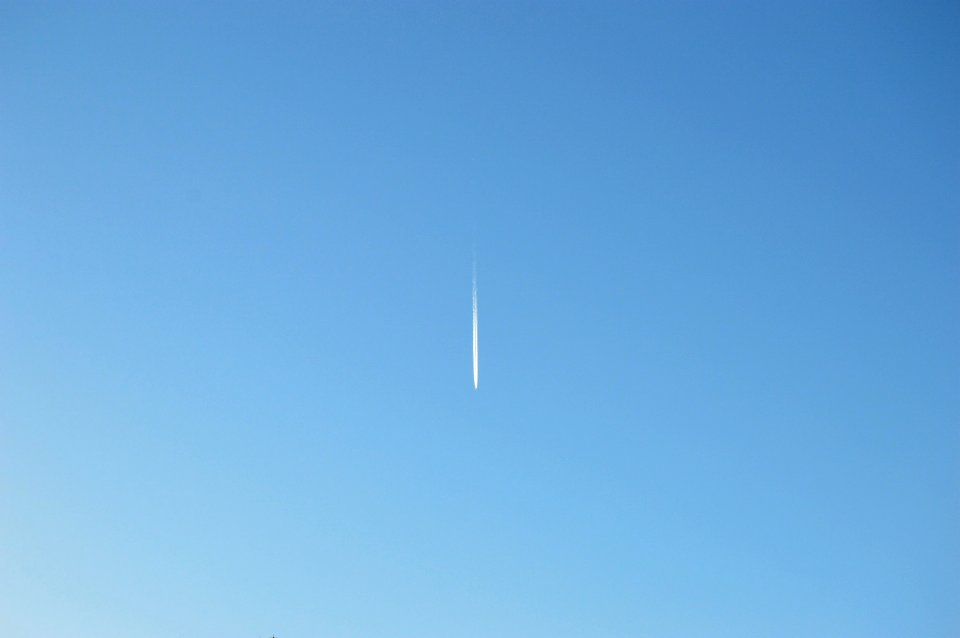 504 (3008x2000)