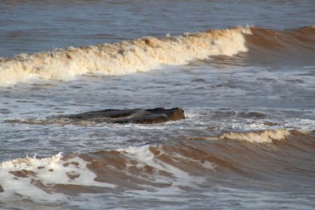 COASTAL EROSION