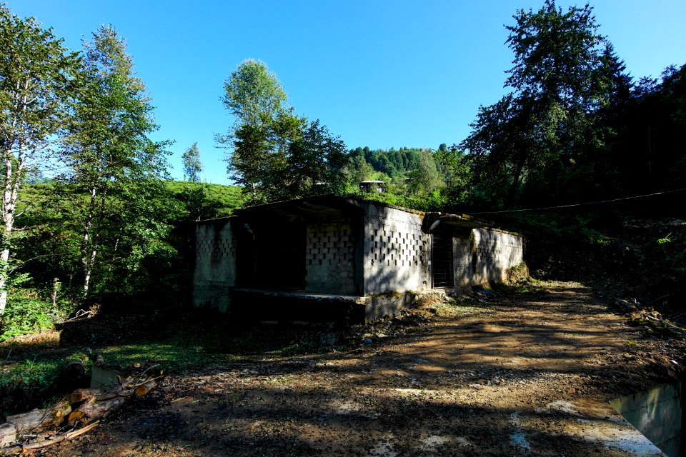 Başköy Senoz Çayeli Rize